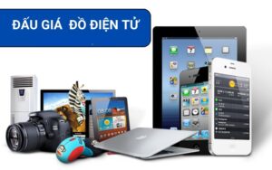 dau-gia-hang-dien-tu-nhat